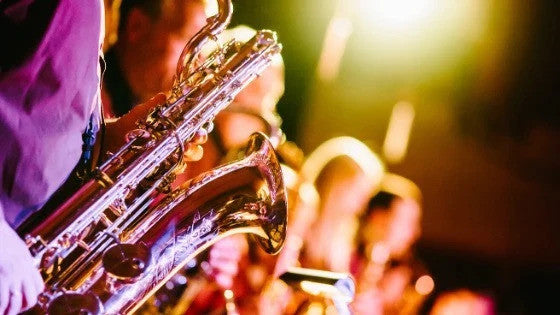 UN CONSEIL POUR LES MUSICIENS : UNE PROTECTION AUDITIVE POUR VOS OREILLES